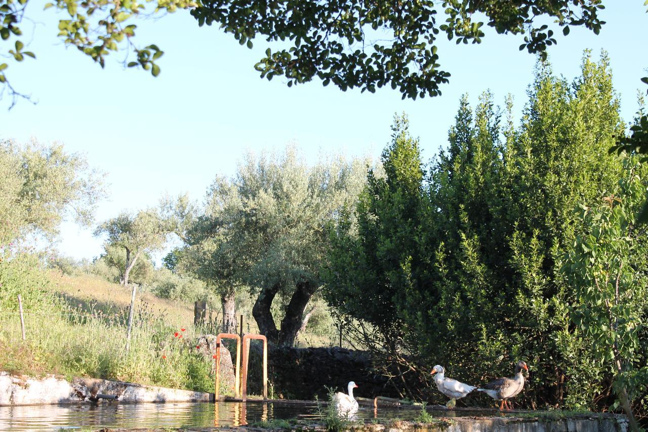 Finca La Carnicera Constantina Extérieur photo