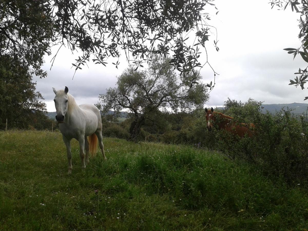 Finca La Carnicera Constantina Extérieur photo