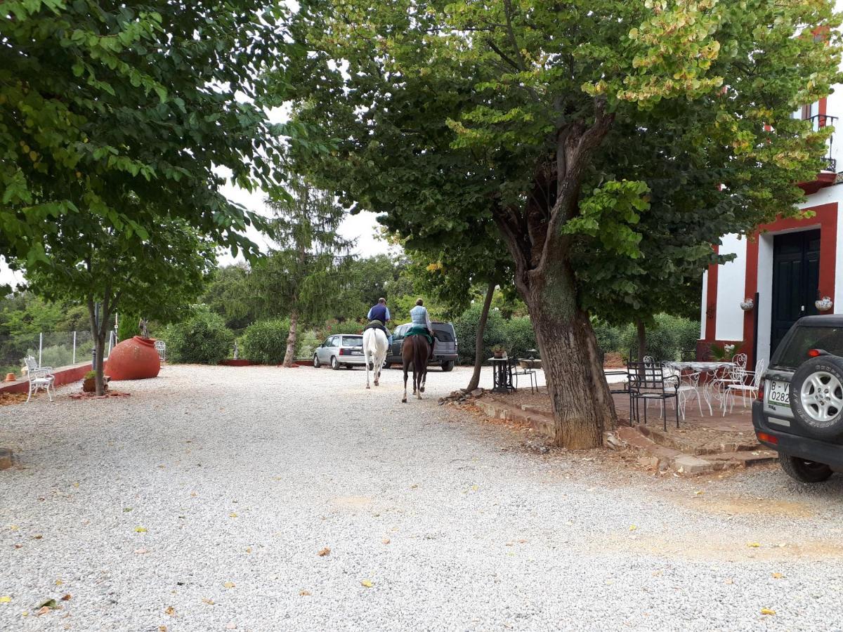 Finca La Carnicera Constantina Extérieur photo