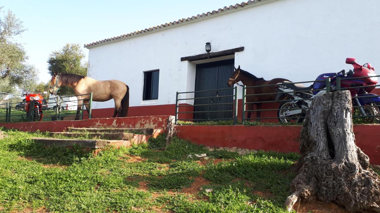Finca La Carnicera Constantina Extérieur photo